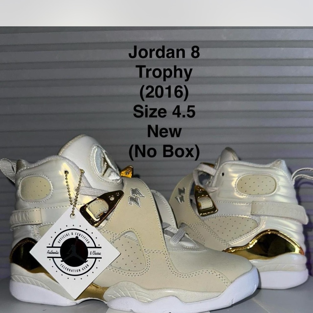 Jordan 8 Trophy (2016)